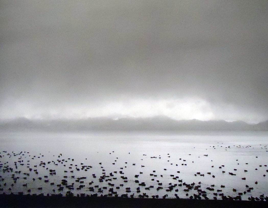 Here Far Away: The Visual Fables of Pentti Sammallahti