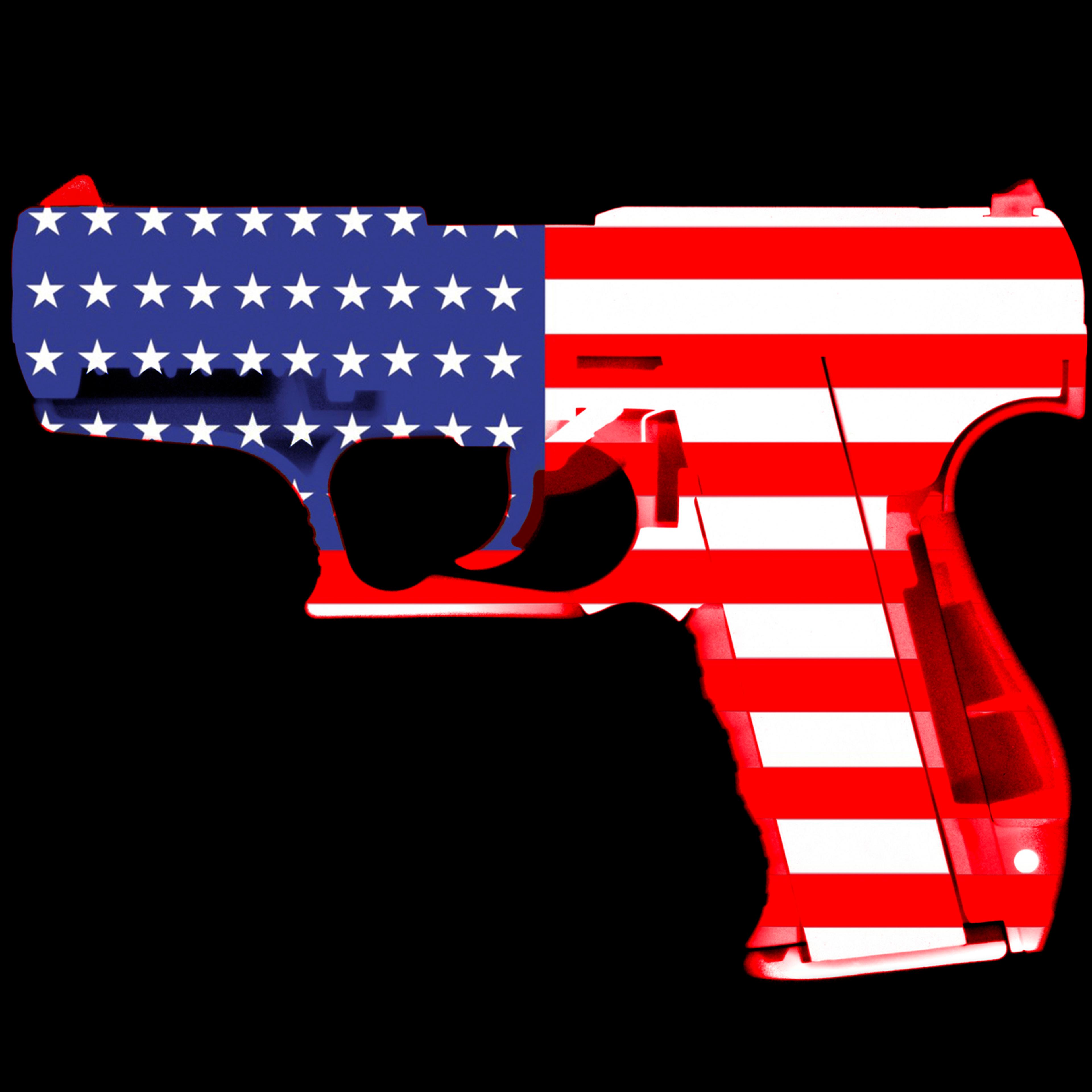 Stars and strips gun