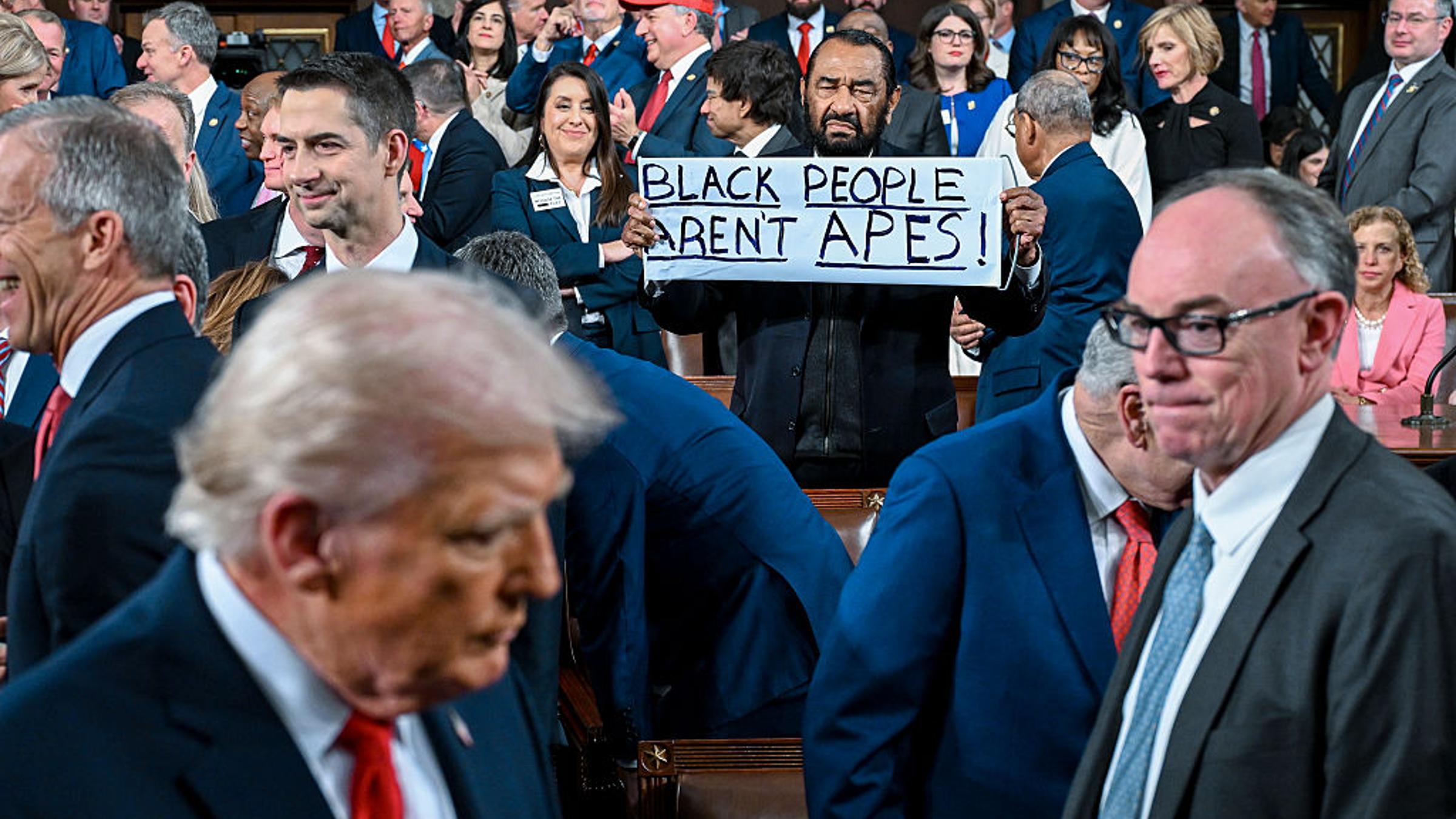 Al Green Ejected From State of the Union, Held 'Black People Aren't Apes' Sign