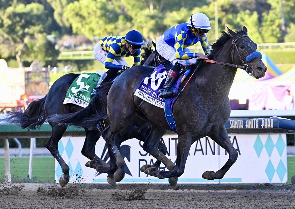 Can a British Bookie Save America’s Horses From the Meat Grinder?