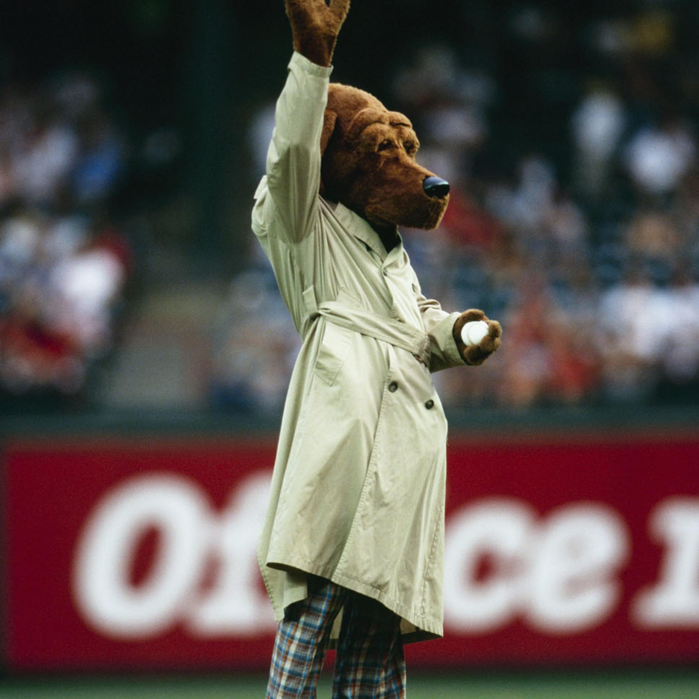 McGruff the Crime Dog throws out the first pitch before the Toronto Blue Jays game against the Texas Rangers at The Ballpark in Arlington on August 4, 1998 in Arlington, Texas.