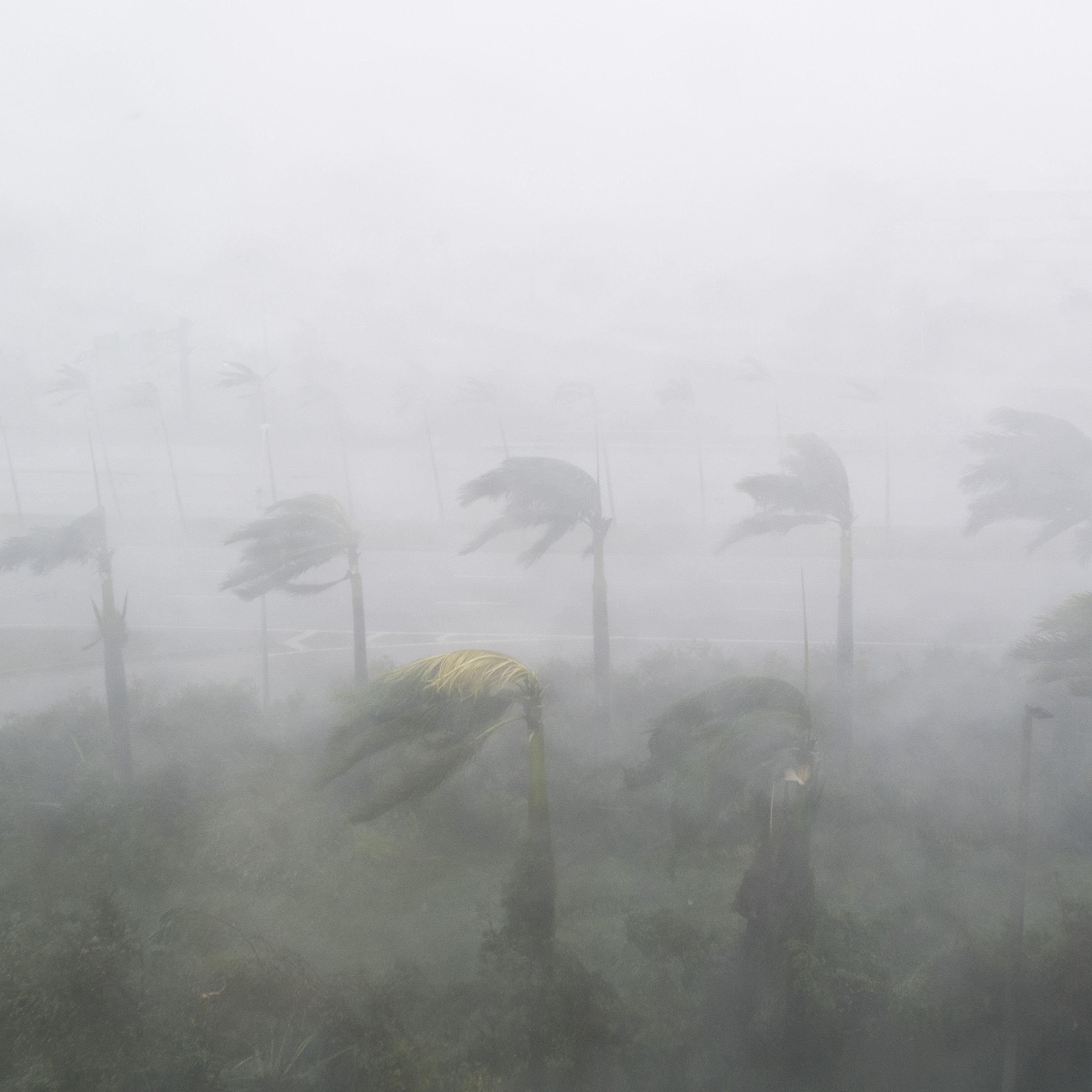 Heavy winds and rain from Hurricane Irma lash Miami on Sept. 10, 2017.