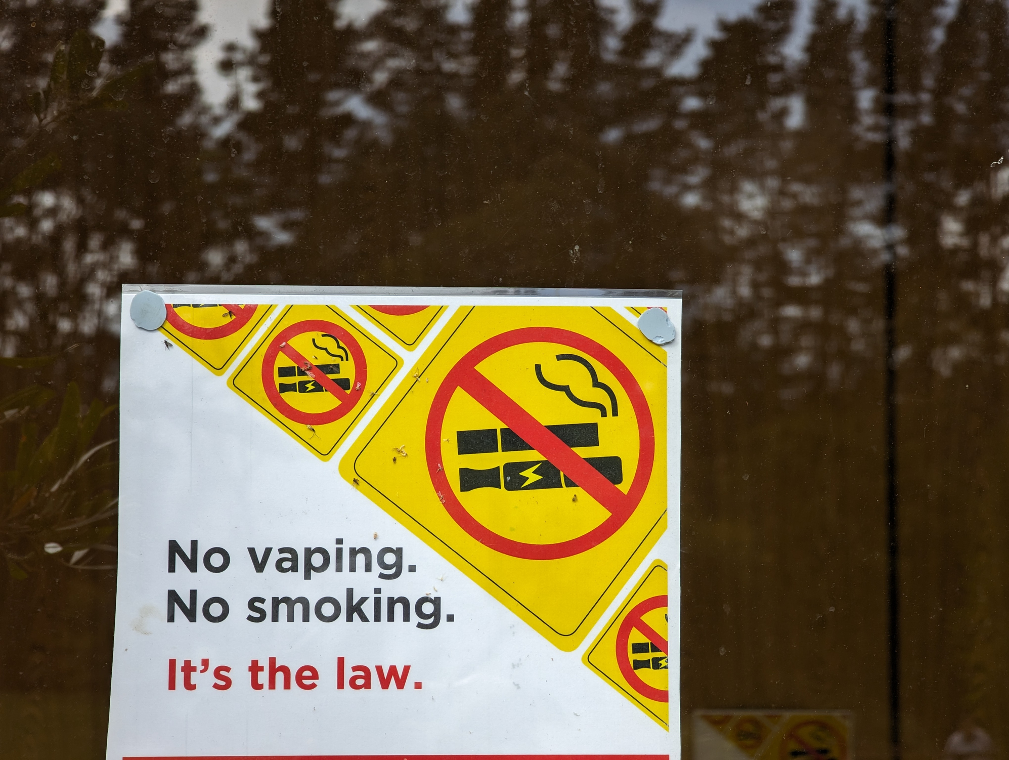 elfbar elfa master akku Preston shops warned over incoming ban to single-use vapes – Blog Preston main image 1