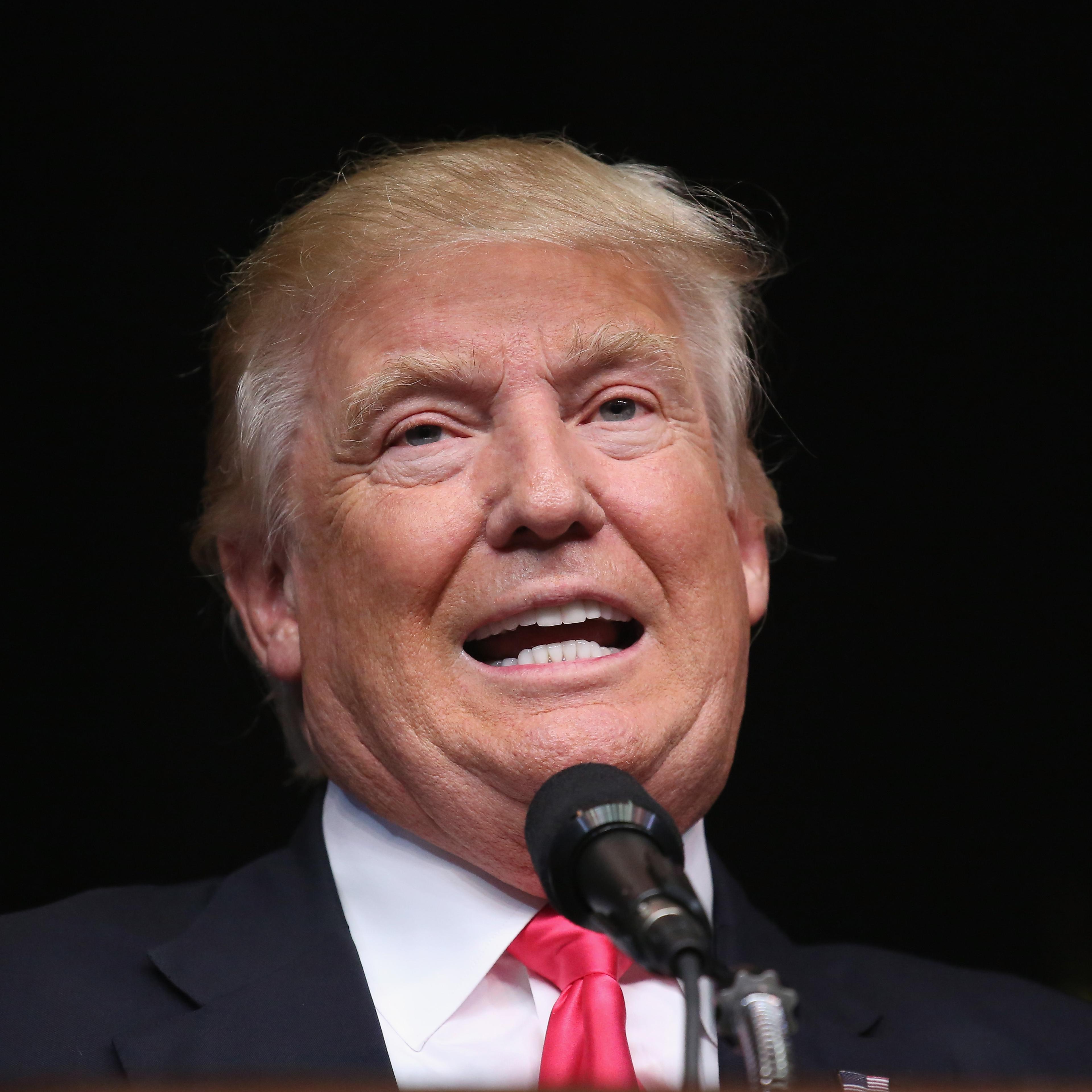 Republican Presidential candidate Donald Trump addresses a crowd of supporters. Trump spoke at the Lackawanna College Student Union Gymnasium in Scranton, Penns. on July 27, 2016.