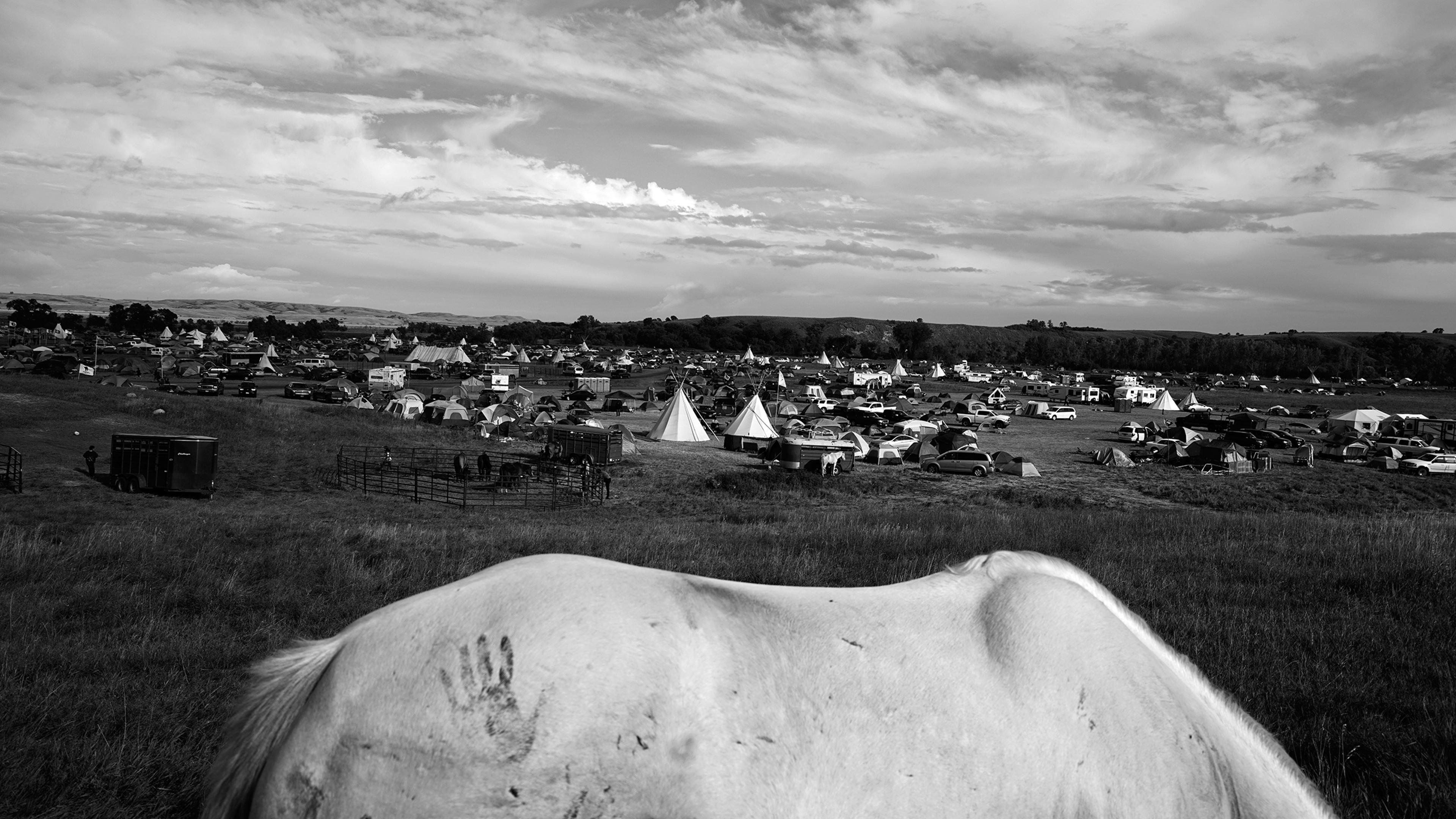 protest-cannon-ball-north-dakota-sioux-protest-camp-larry-towell-magnum