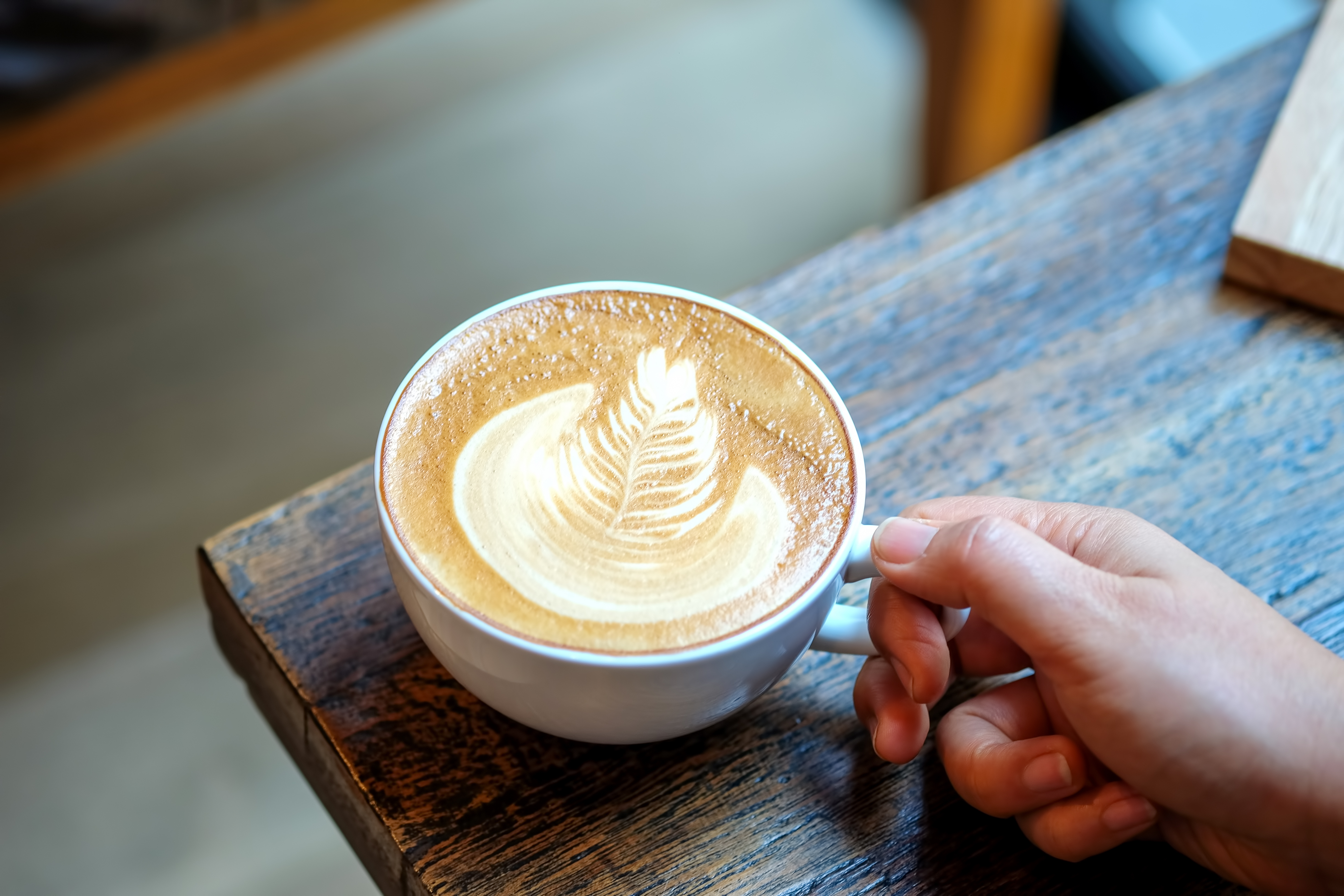 Hand on latte leaves tree coffee cup.