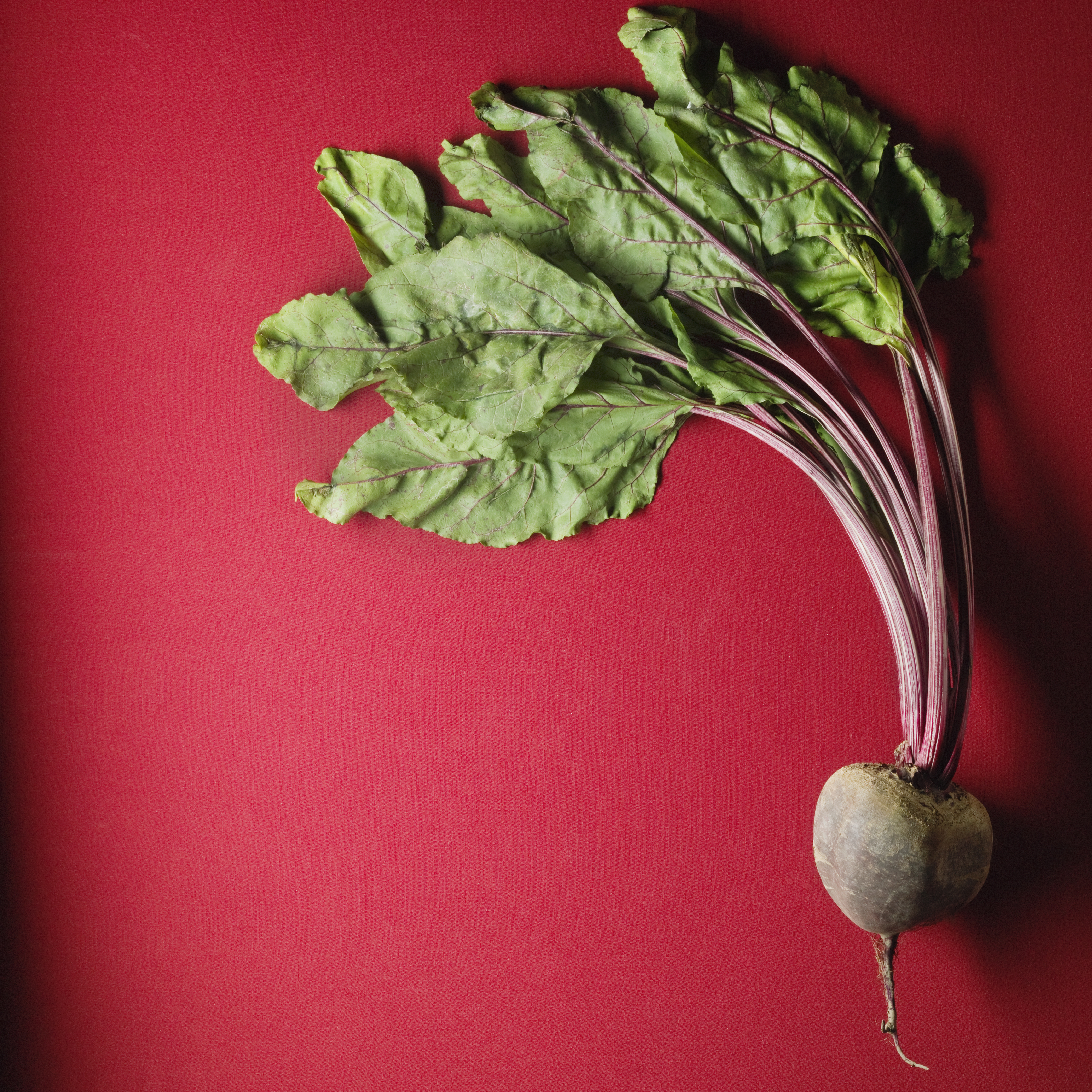 beets