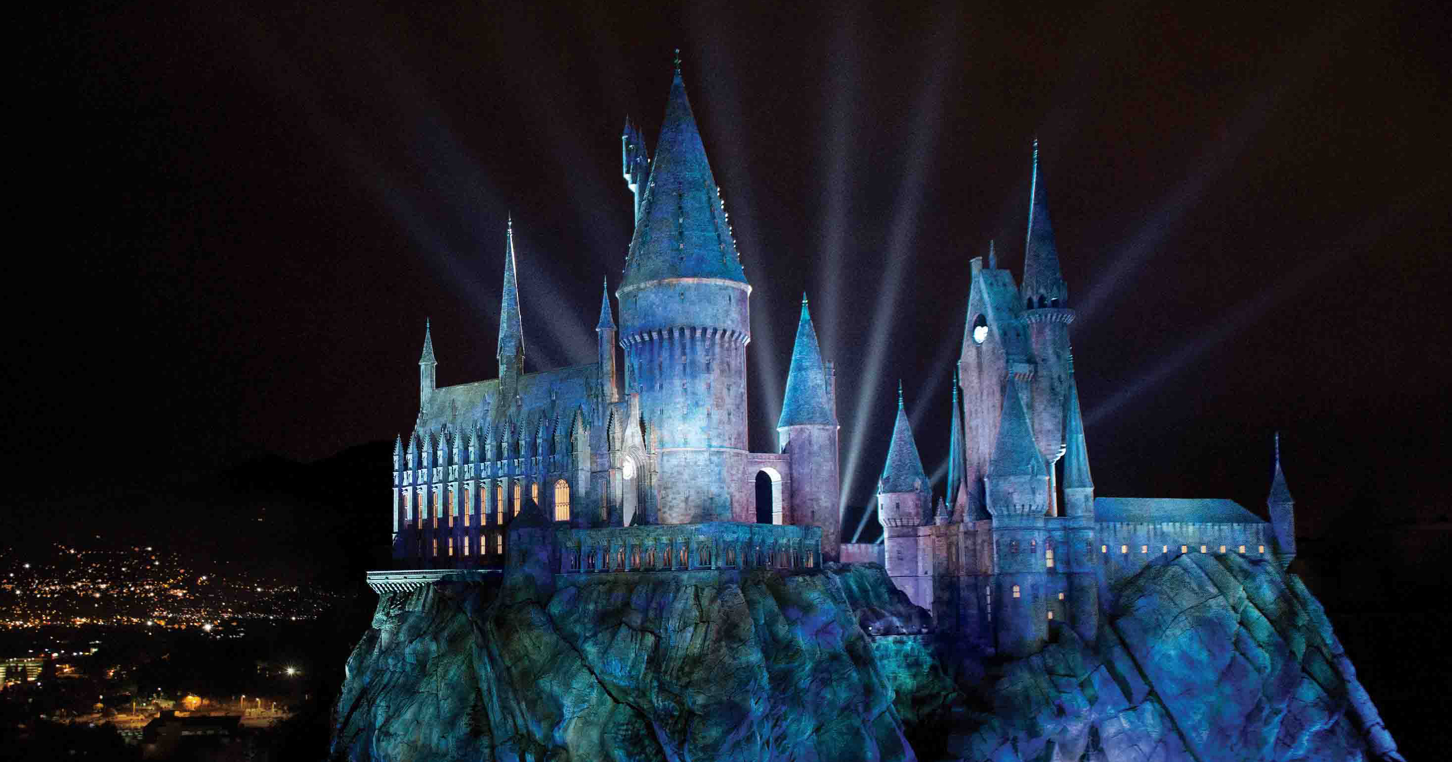 Tableau bois Harry Potter I Love Magic | Leroy Merlin