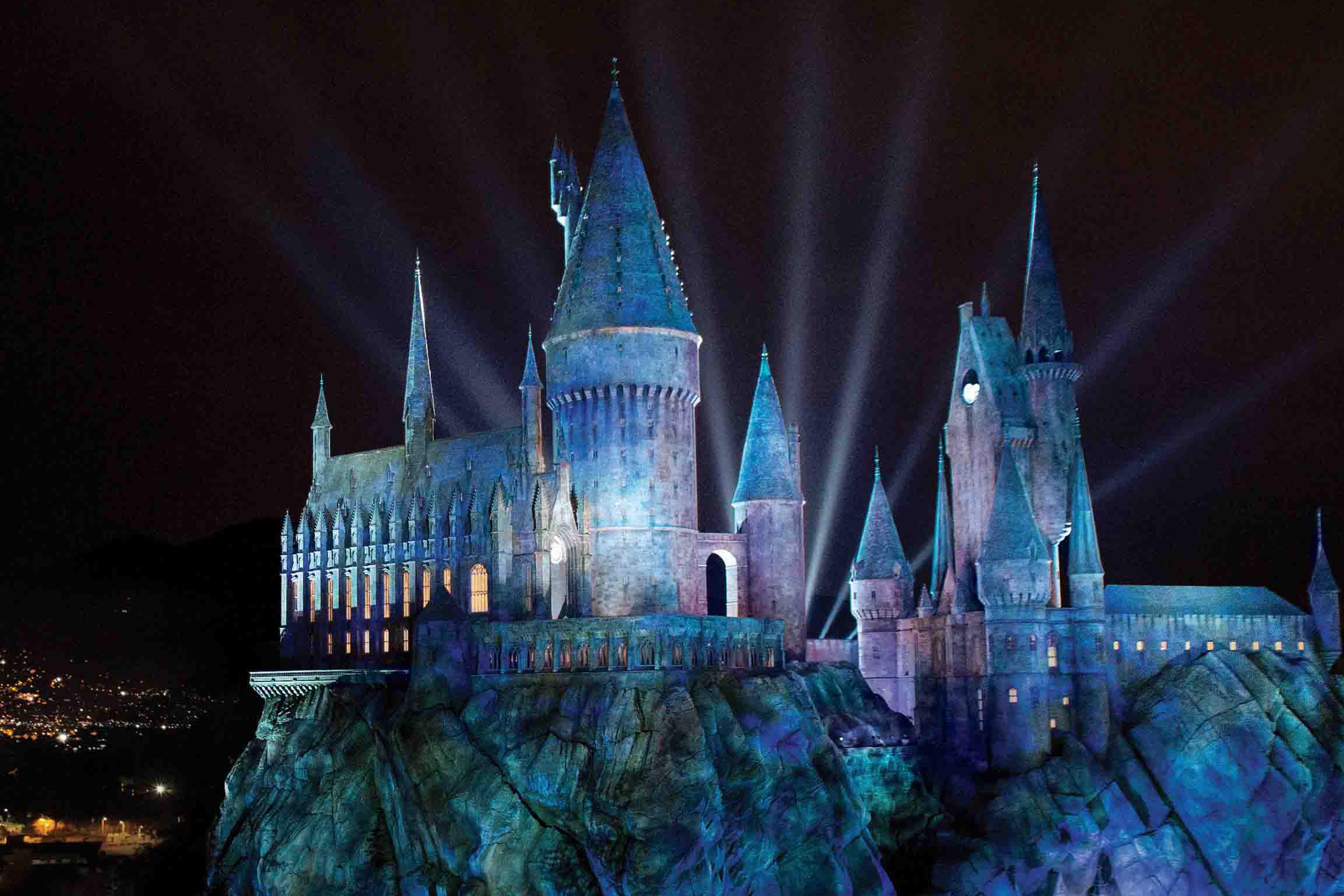Tableau bois Harry Potter I Love Magic | Leroy Merlin Tableau bois Harry Potter I Love Magic | Leroy Merlin