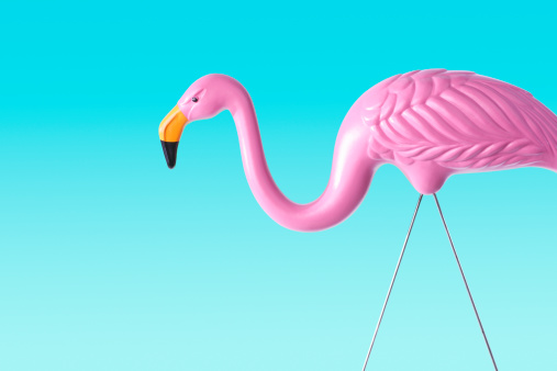 Pink Plastic Flamingo: The Cultural History of a Lawn Ornament