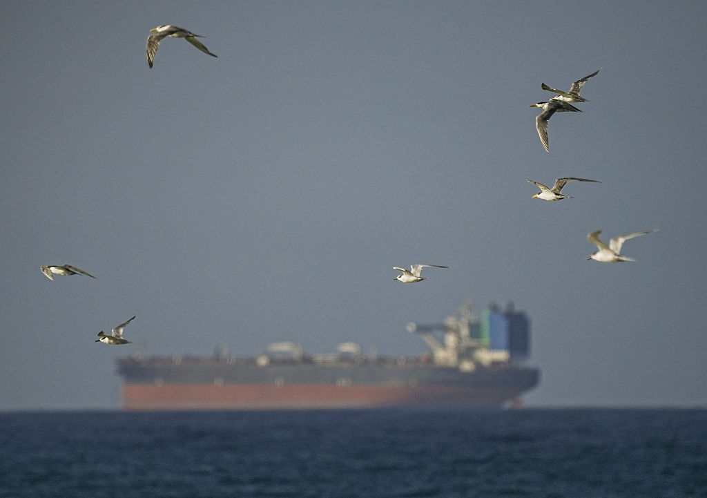 The Bigger Energy Lesson Behind Iran&rsquo;s Control Over the Strait of Hormuz