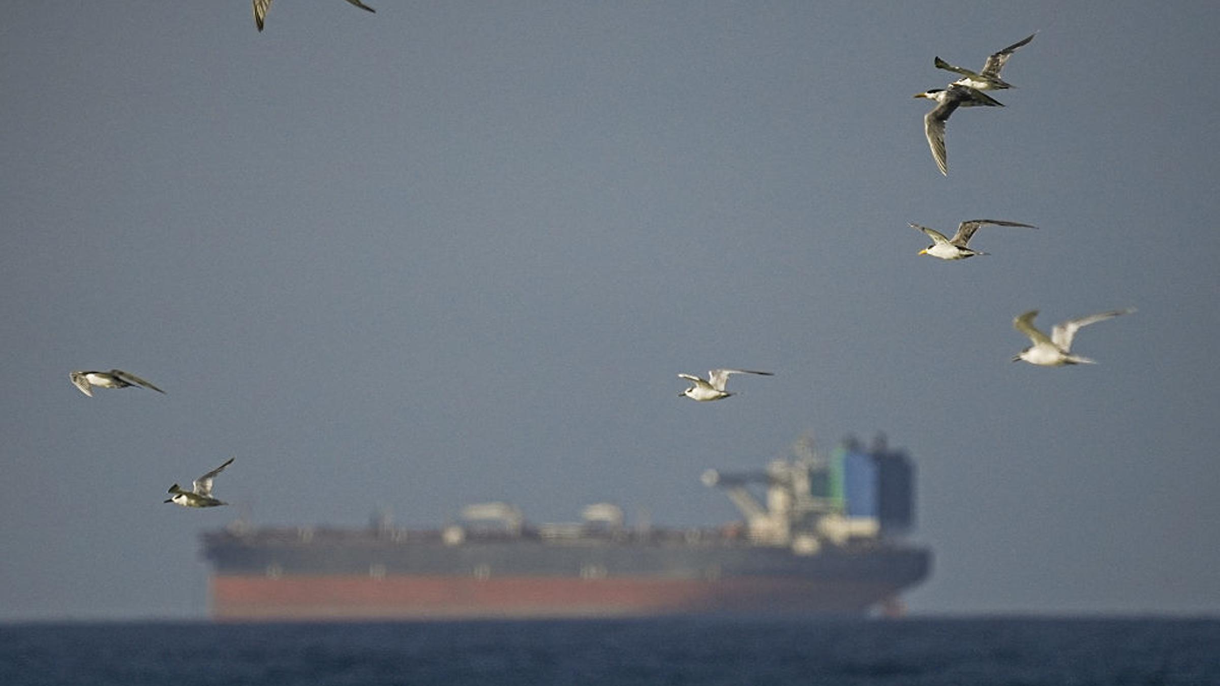 The Bigger Energy Lesson Behind Iran’s Control Over the Strait of Hormuz