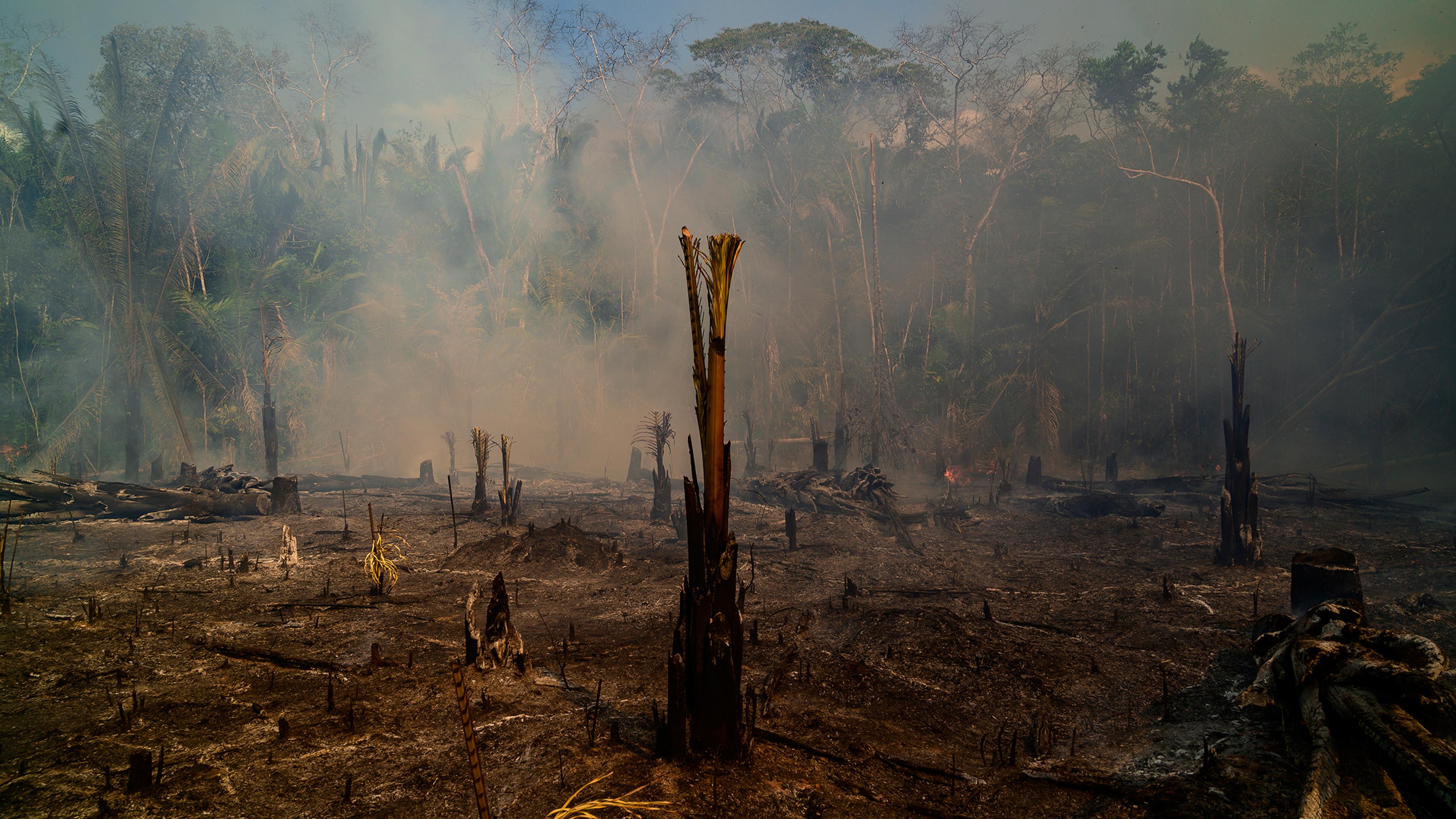 Realidade, Amazon State, Brazil - 26 August, 2019: Rainforest on fire 9km away from the town of Realidade in Brazil´s Amazon State.Those fires are caused by farmers clearing new lands for crops of pastures.