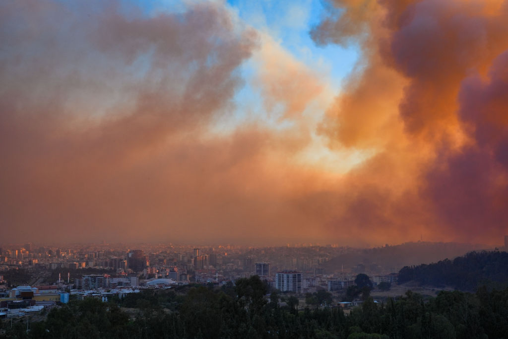 Efforts continue to combat forest fires in Izmir
