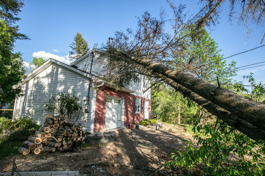 A tree leaning on the rooftop of a damaged house is seen
