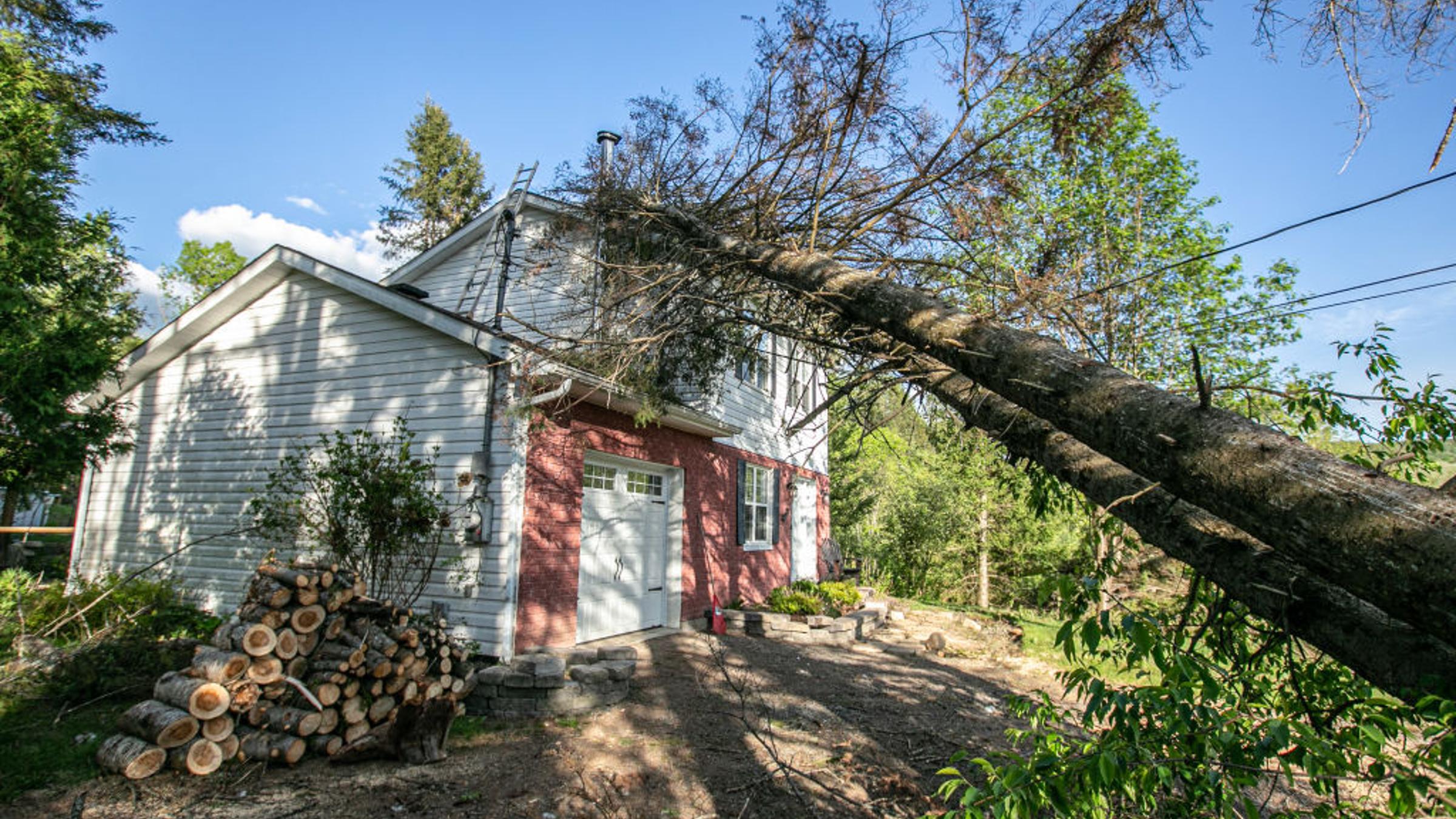 A tree leaning on the rooftop of a damaged house is seen
