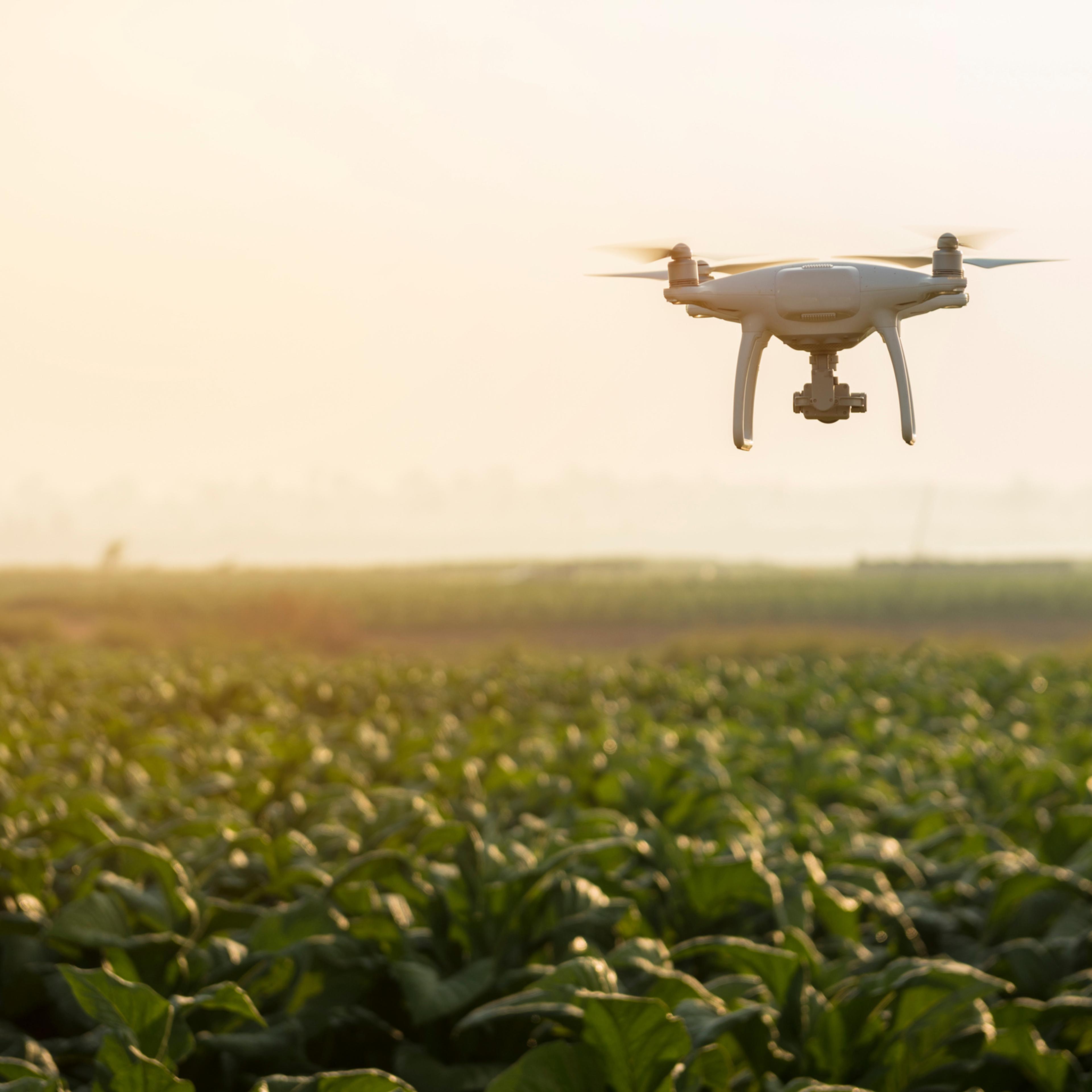 Drone Flying Over Plants On Field
