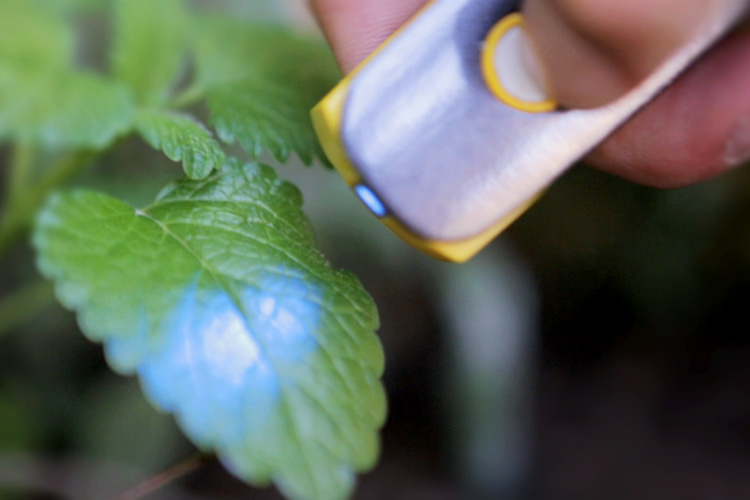 Scio Pocket Molecular Scanner Is a Google-like Device for Physical Objects