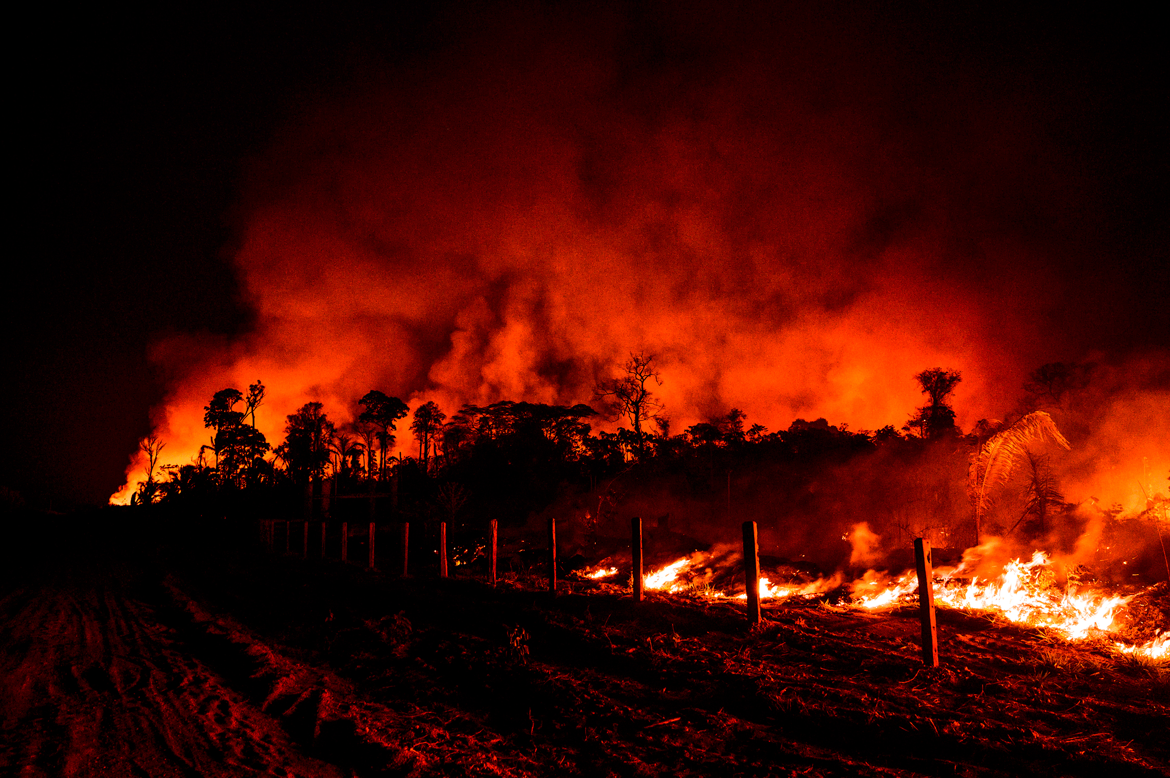Fence posts are illuminated by nearby flames in the region of Vila Nova Samuel, near the Jacundá National Forest, in the Brazilian Amazon on Aug. 27.