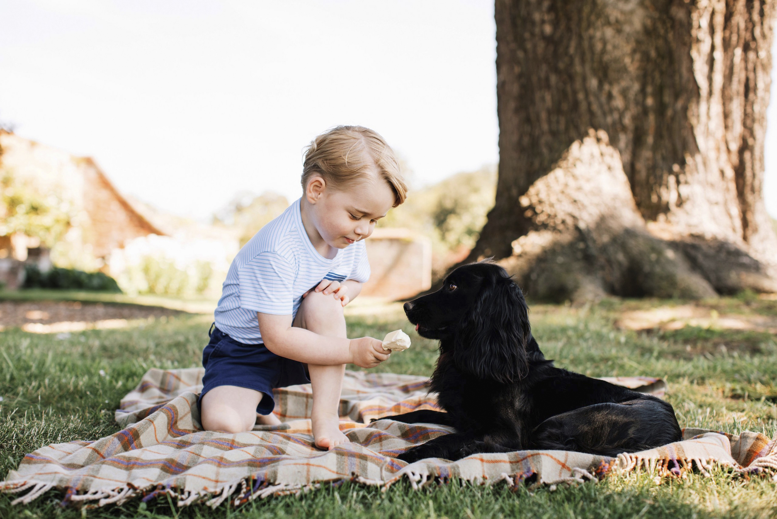 The firstborn of Prince William, Duke of Cambridge, and Catherine, Duchess of Cambridge, is a busy toddler. Now three years old, Prince George has been photographed doing everything from helping his grandmother Queen Elizabeth II mark her 90th birthday t