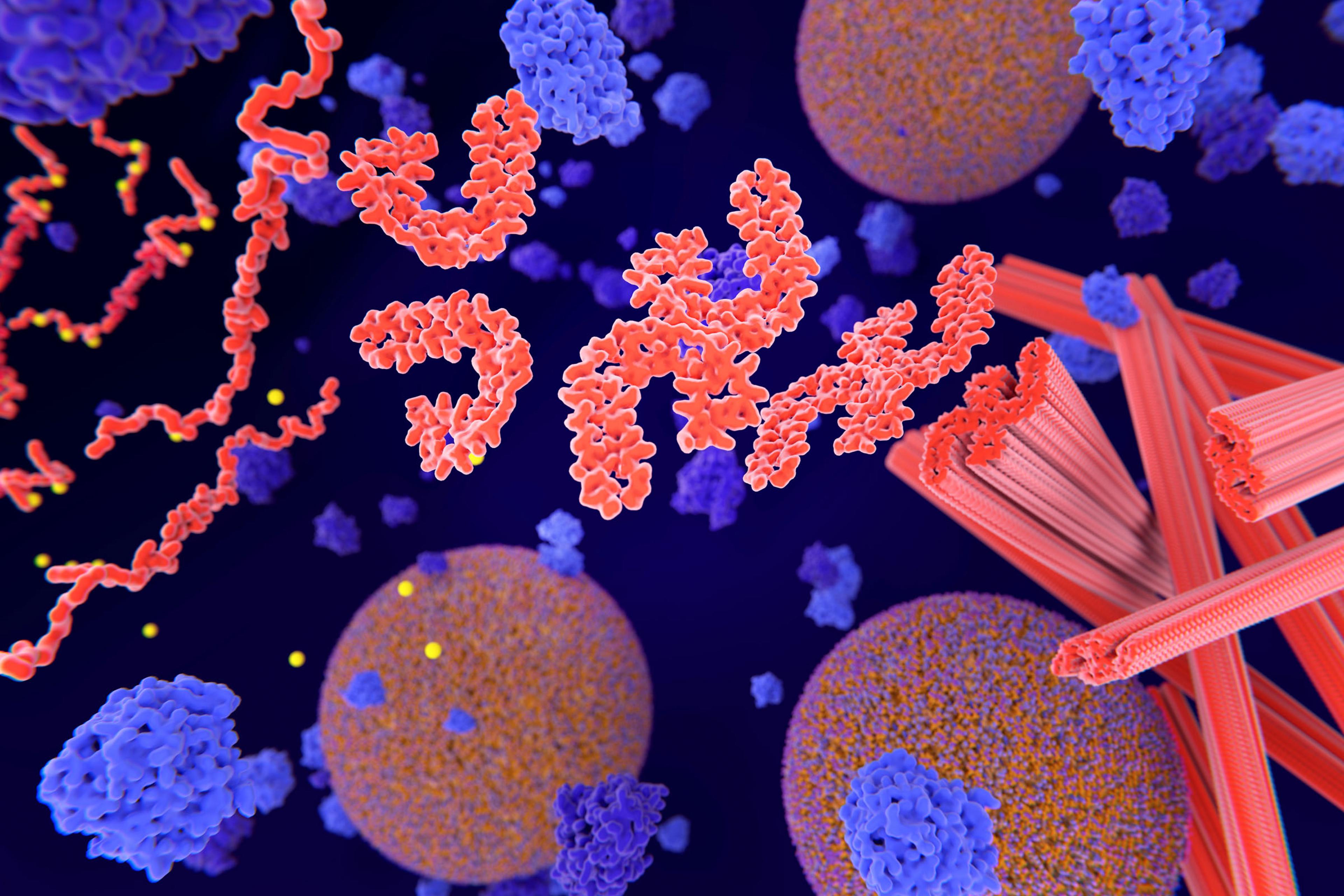 Alzpath Logo ALZpath pTau217 Antibody: the 200 Best Inventions of 2024