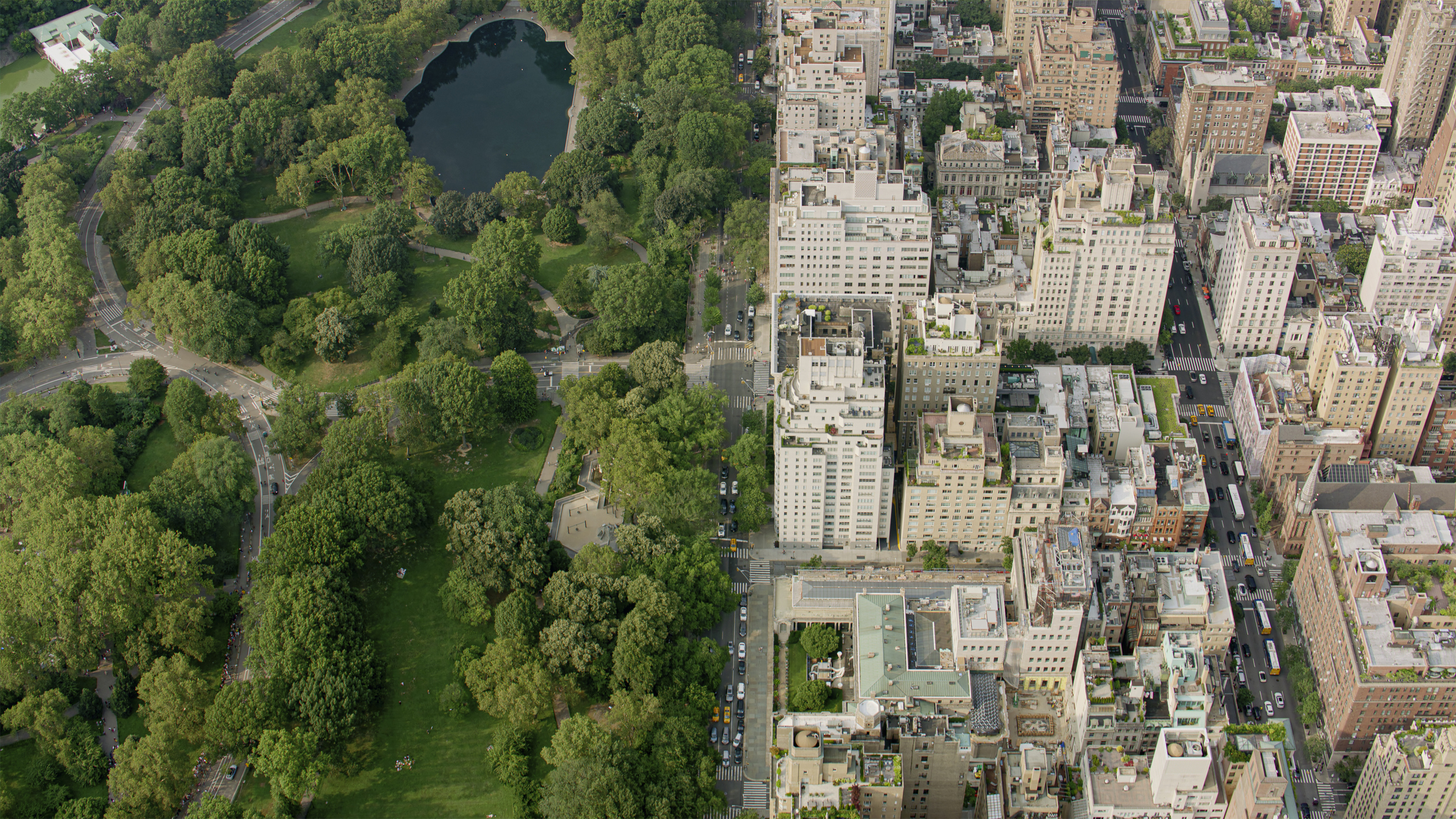 Arbor Day Is Actually About Infrastructure