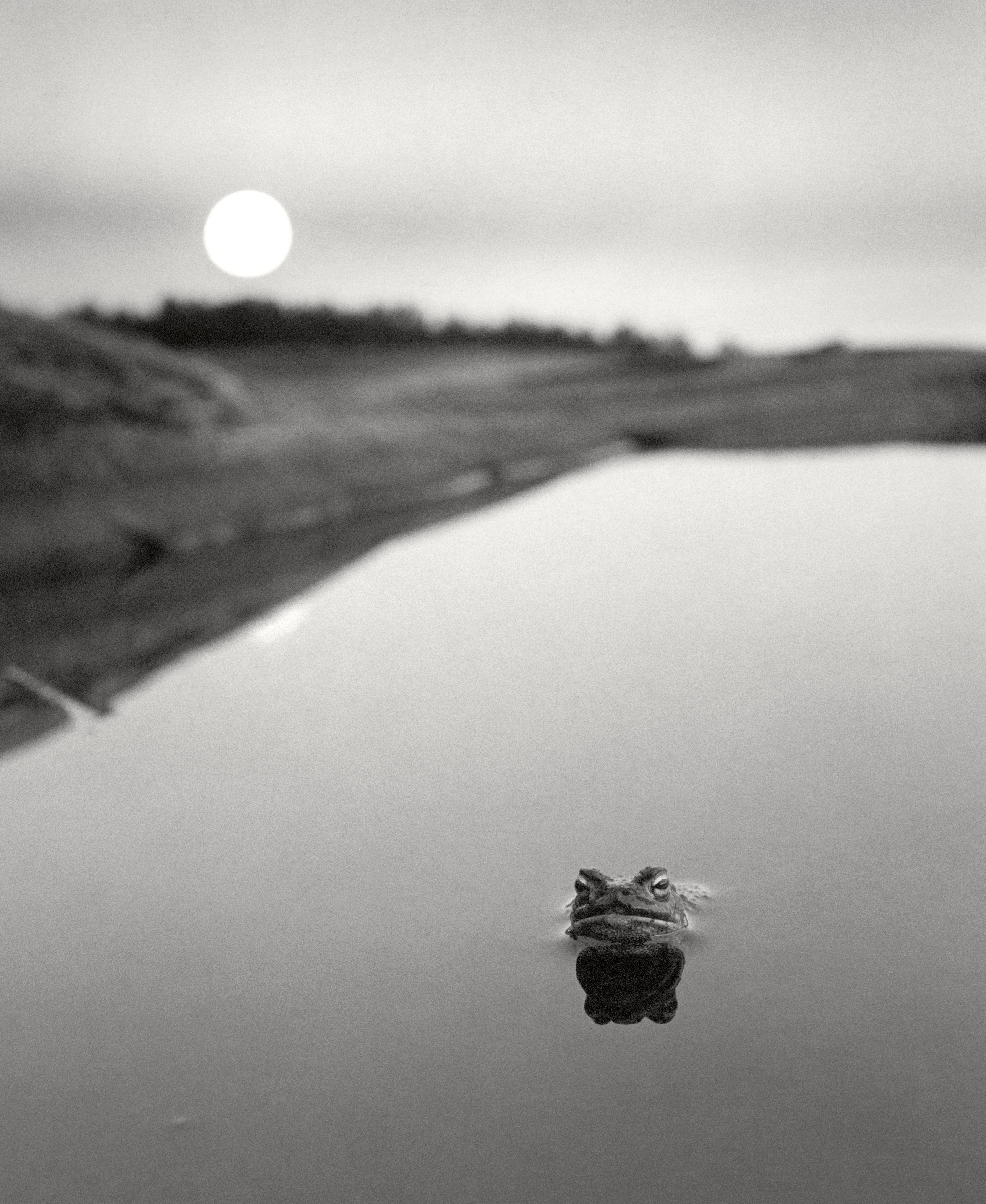 アート・デザイン・音楽 here far away / pentti sammallahti Here Far Away: The Visual Fables of Pentti Sammallahti