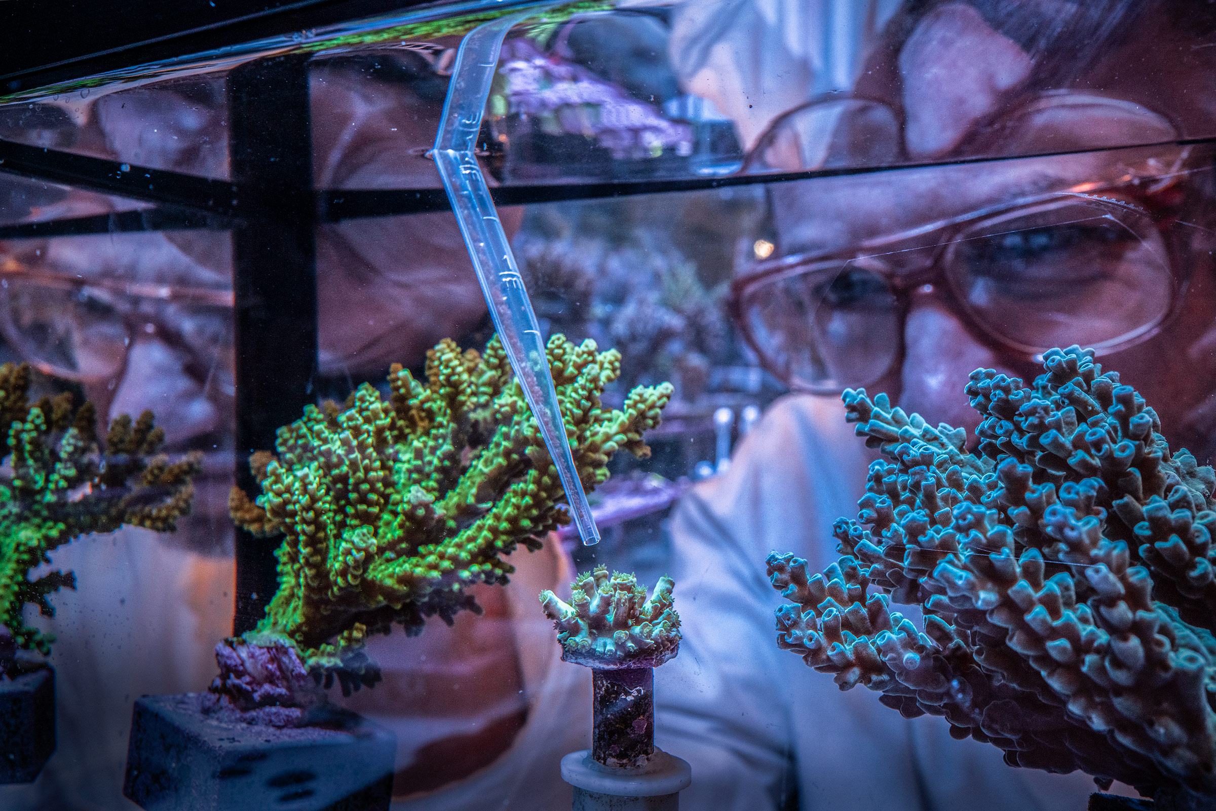 Inside the Labs Racing to Save The World’s Coral Reefs
