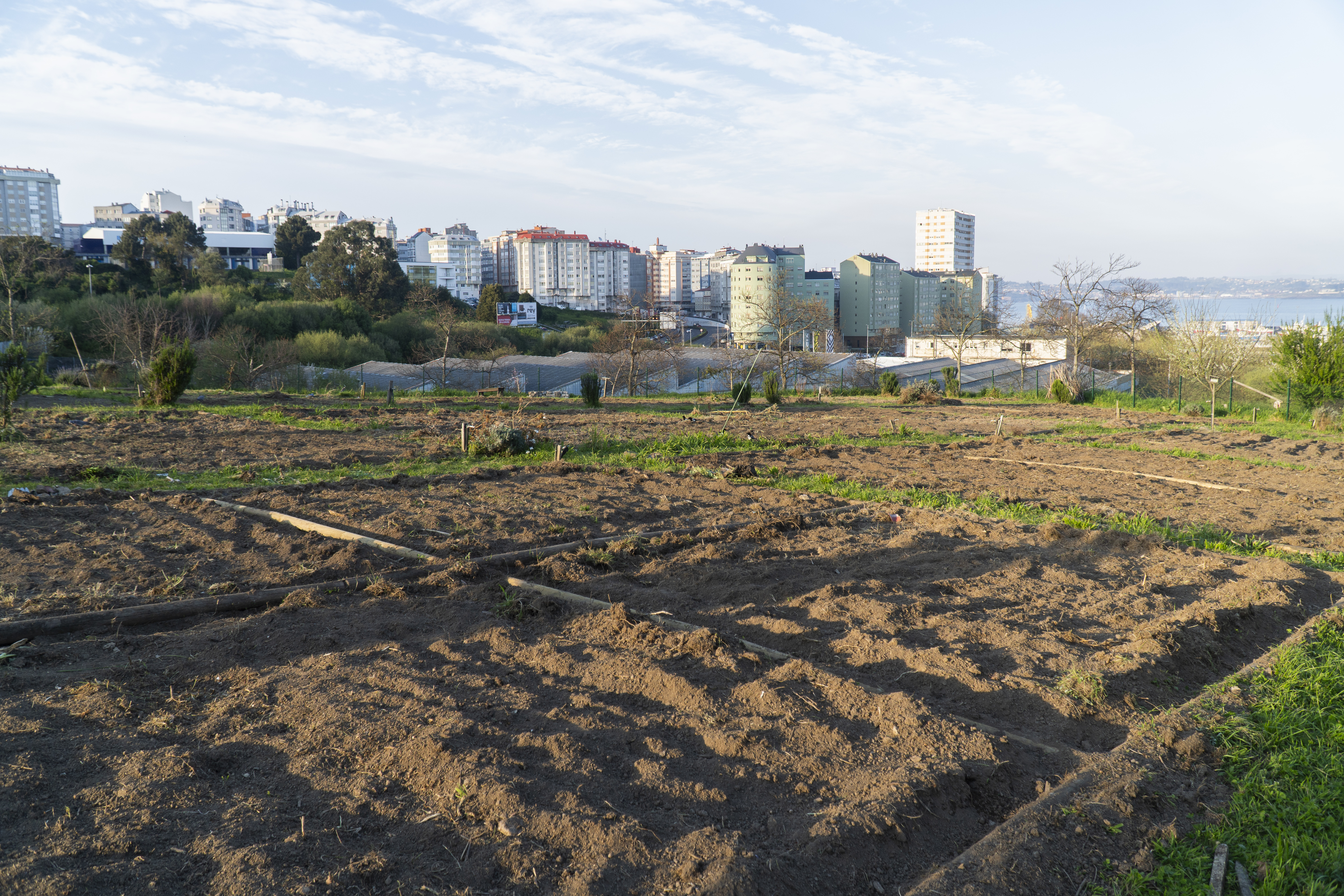 City Farming Could Supply Nearly 30% of Europe&rsquo;s Fruit and Vegetable Needs, Study Finds
