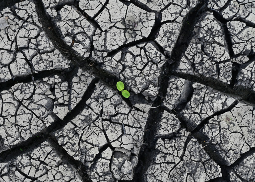 The science is clear: the patient, our home planet earth, is in critical condition.