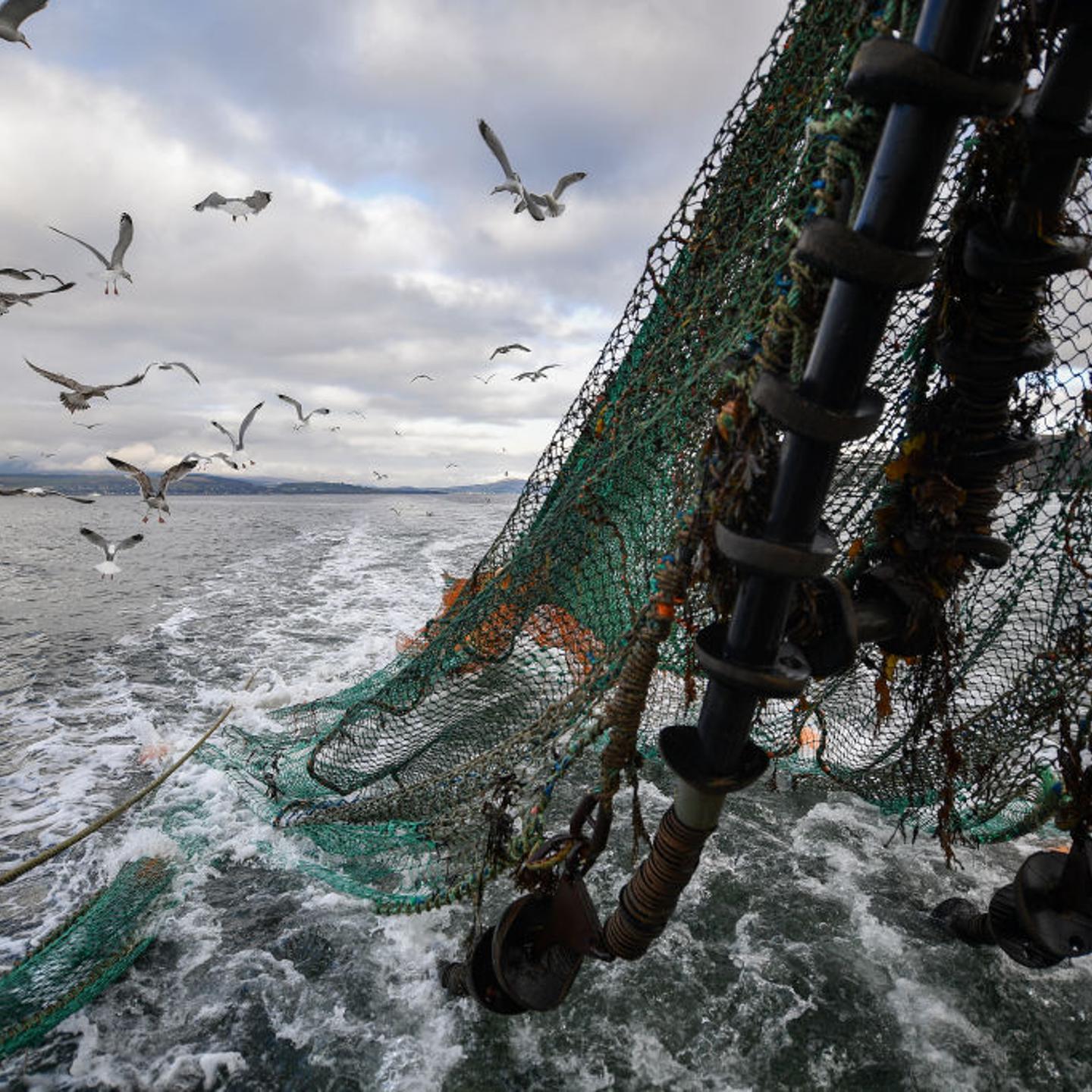 Some AI startups are trying to track and limit overfishing.