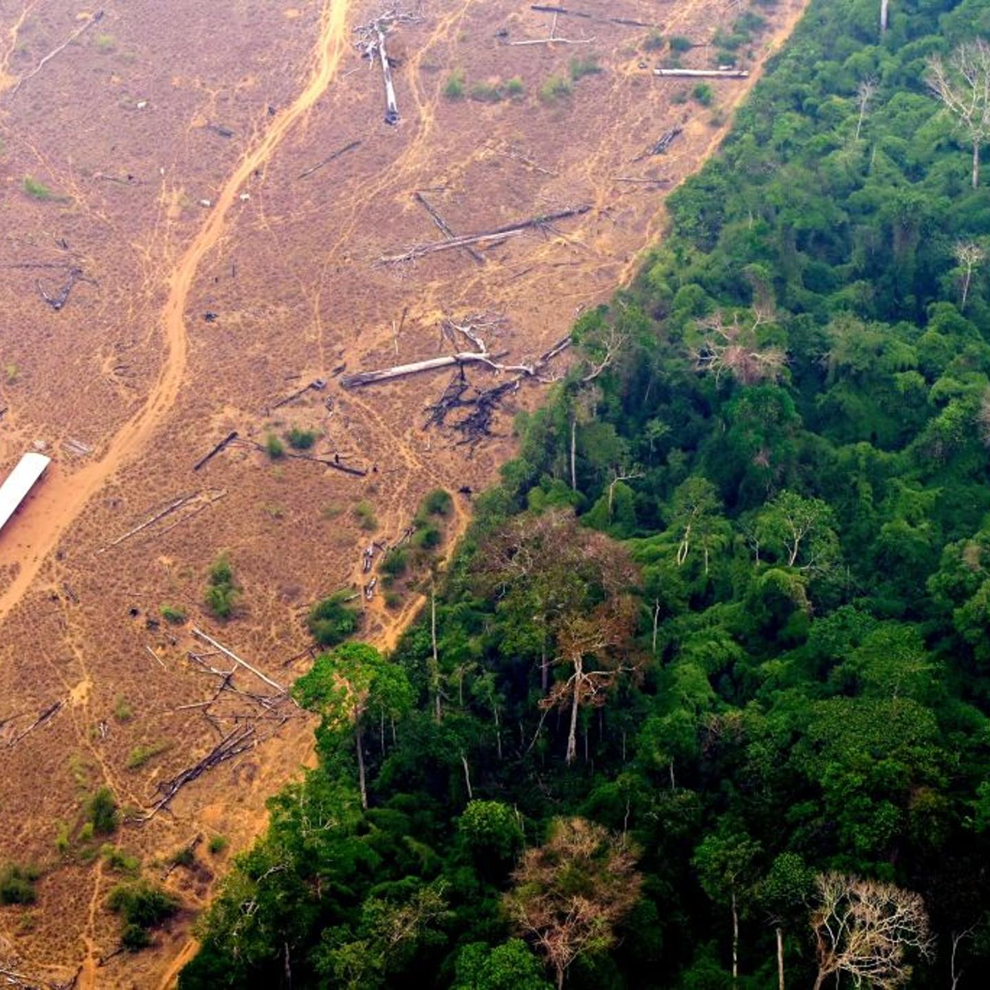 View of a deforested and burning area of the Amazon rainforest