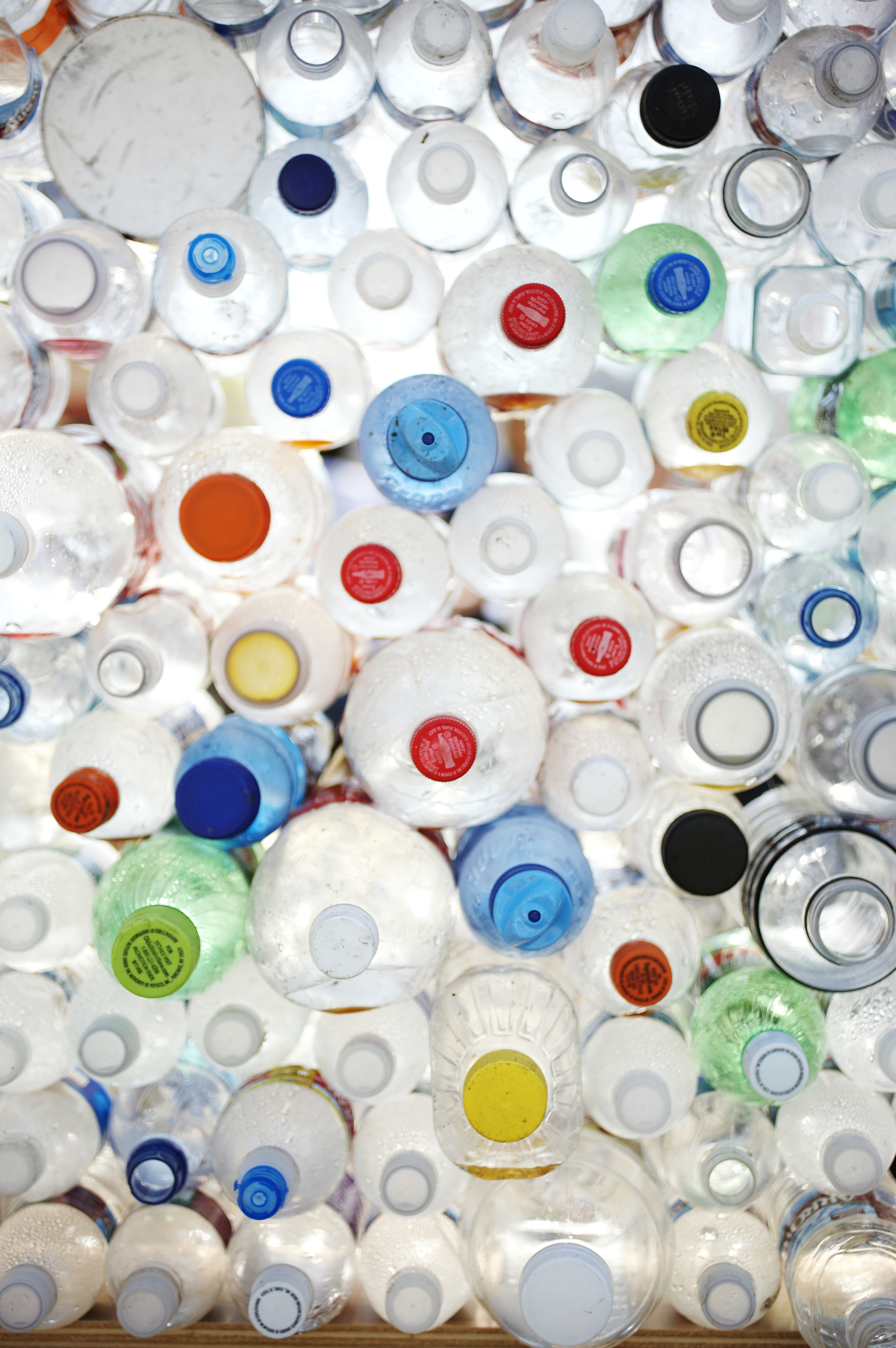 soda bottles