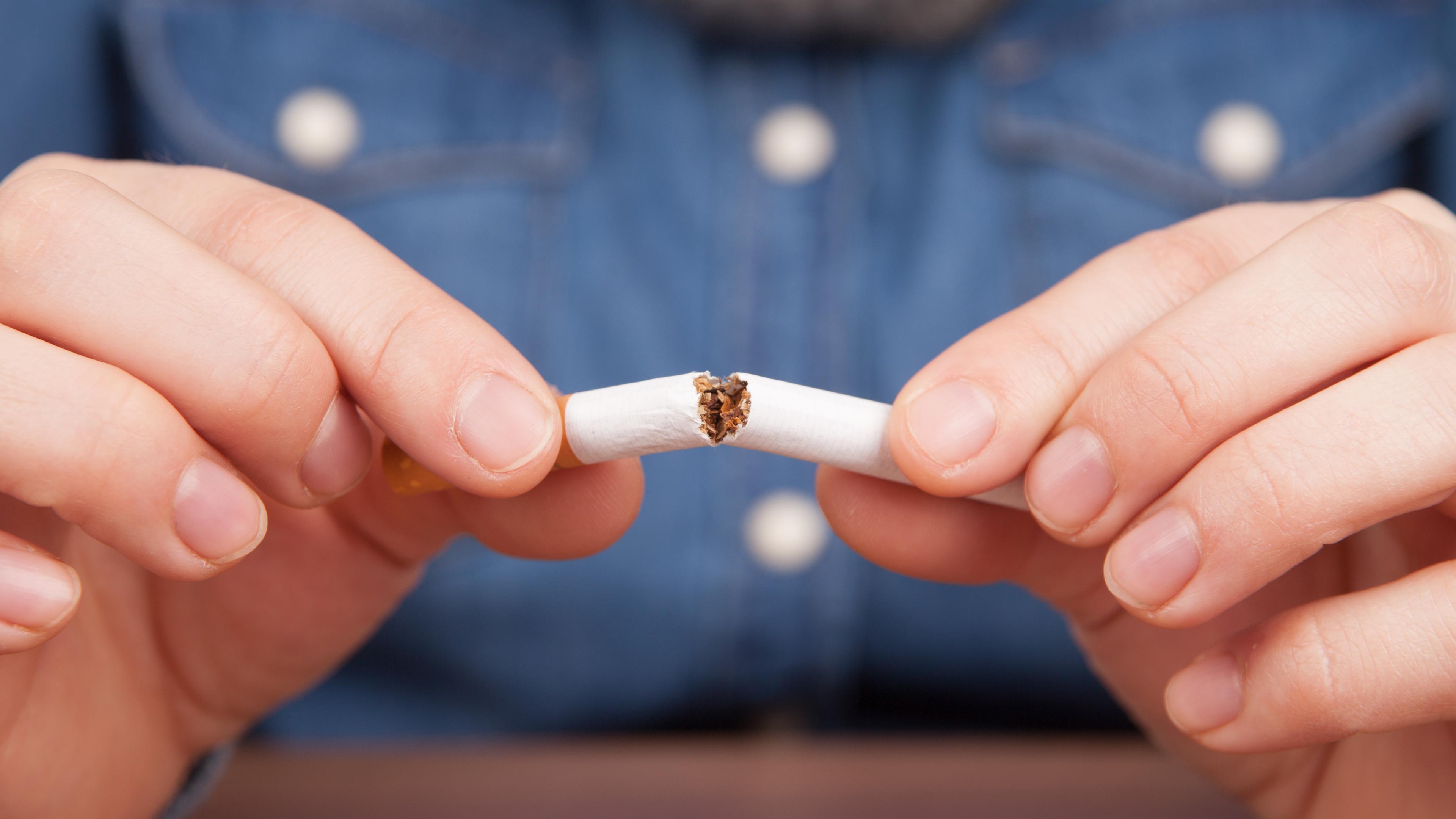 who makes carlton cigarettes Cigarette