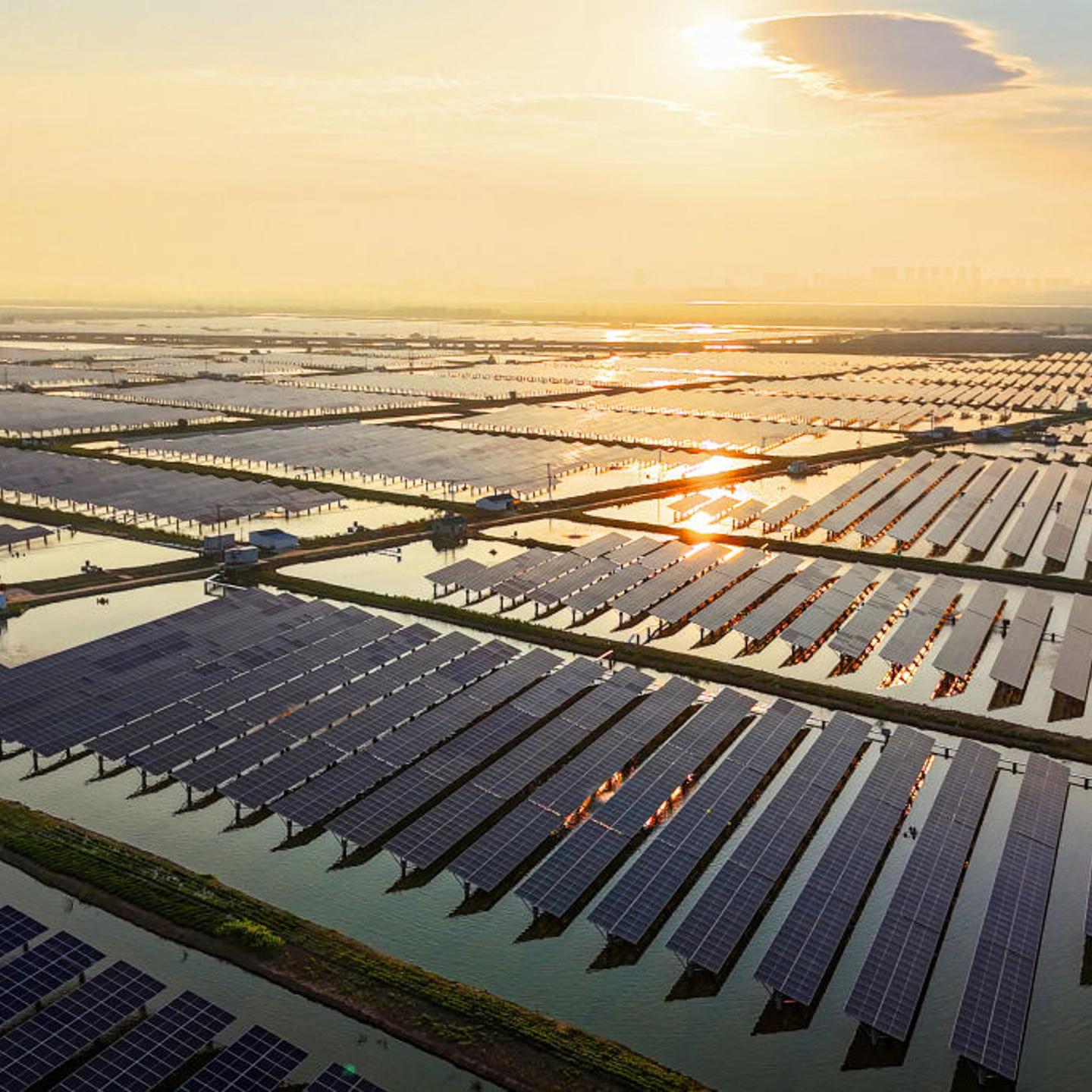 An aerial view shows solar panels at the fishing-solar complementary photovoltaic power generation base in Lianyungang, in eastern China's Jiangsu province on July 31, 2024.