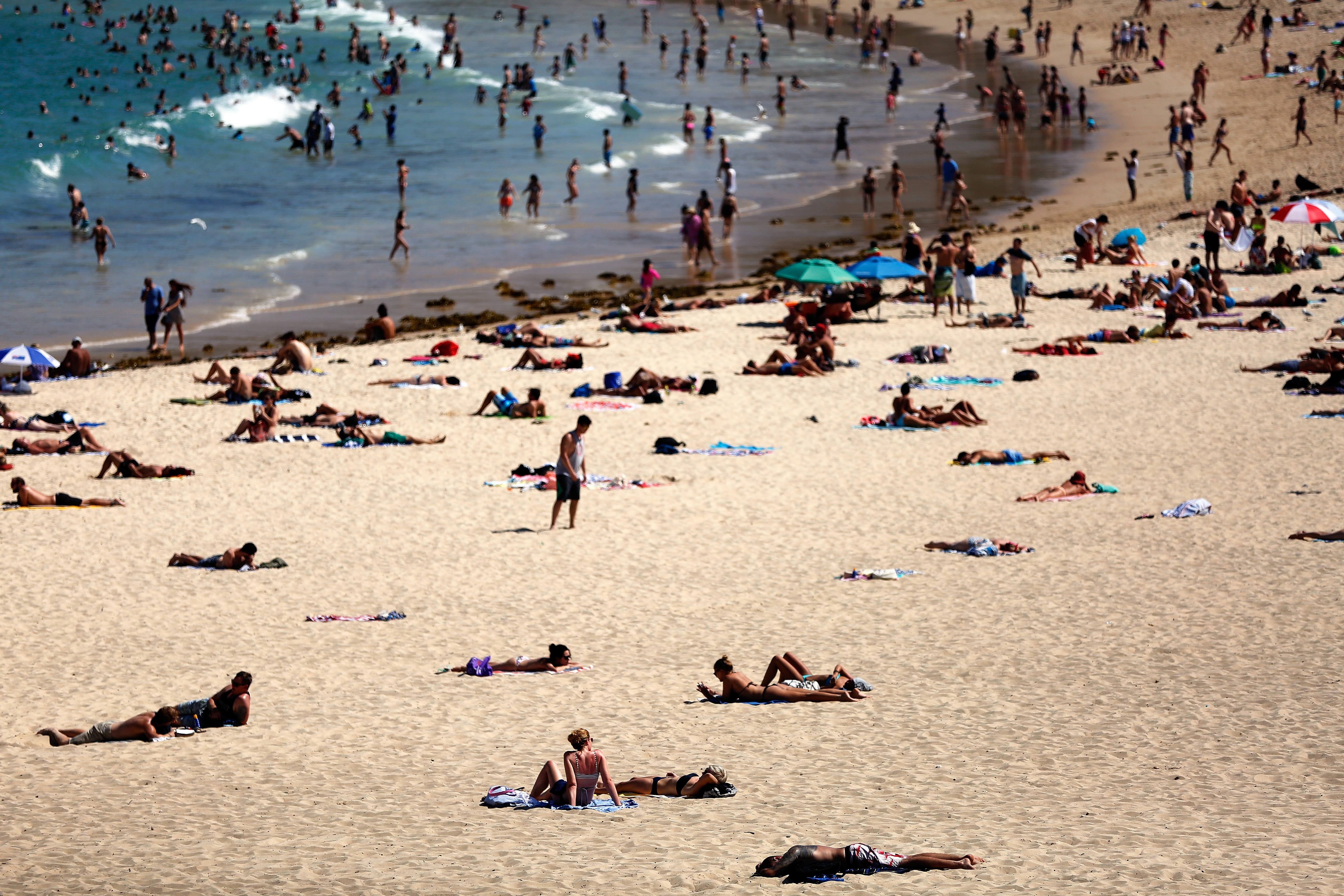 Climate Change: Last Month Was the Hottest January on Record