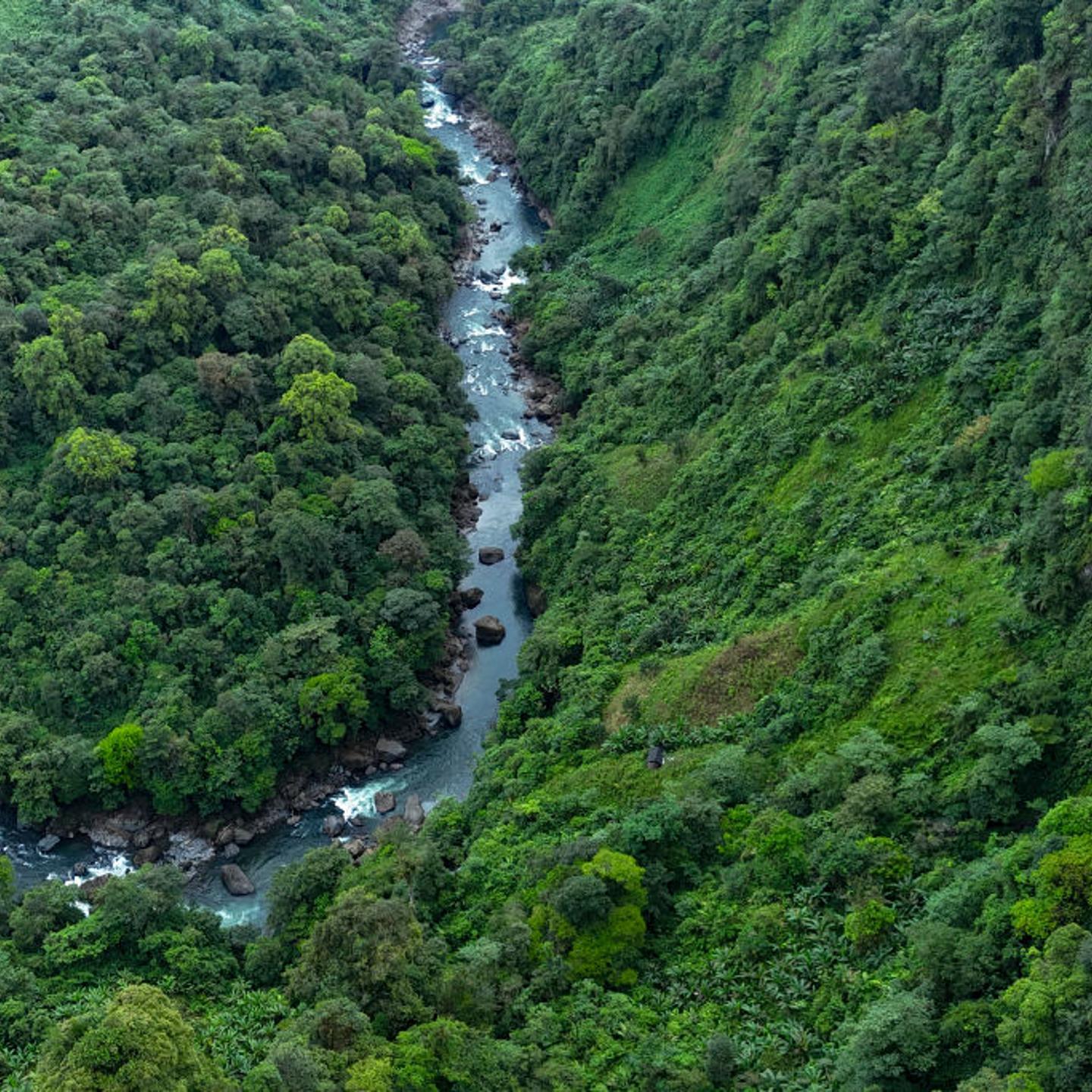 Aerial view of the El Gran Sabalo Indigenous Reservation near El Diviso, Narino department, Colombia, on August 31, 2024. They are one of Colombia's Indigenous peoples most threatened by violence, living in rainforests that have been subjected to the predation of armed groups for decades.